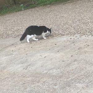 Meet your Posher, Martina